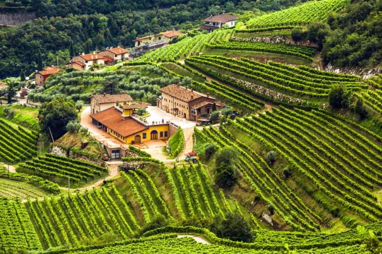 Northern Italy in motion: lakes, legends & local flavors
