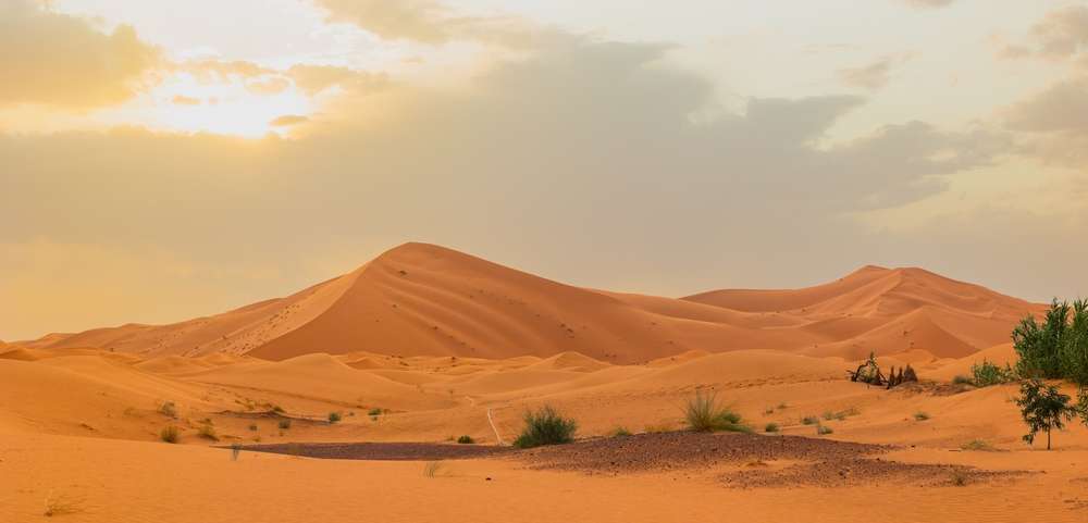 Chebbi sand dunes