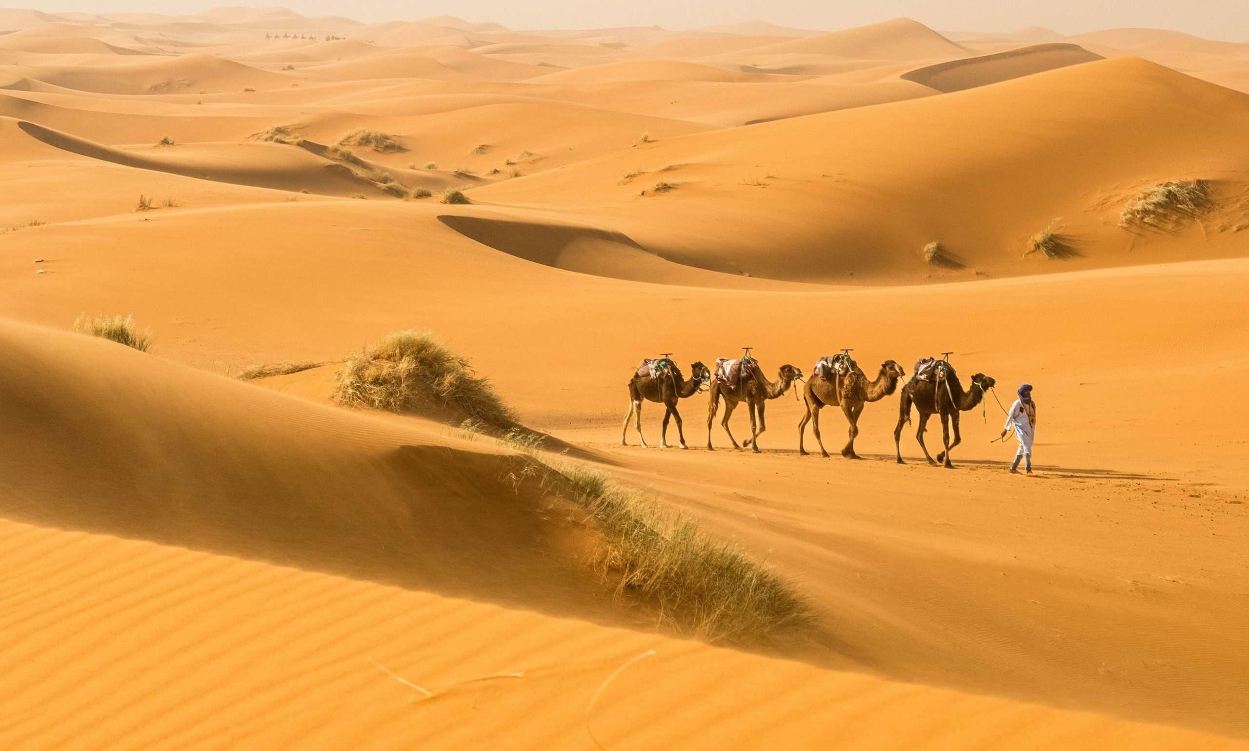EspirituTravel Morocco
